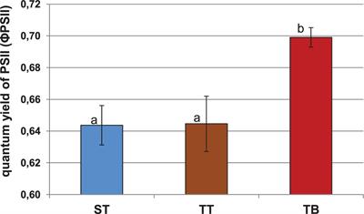 Microbial Inoculation for Productivity Improvements and Potential Biological Control in Sugar Beet Crops